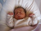 2009 01 januar